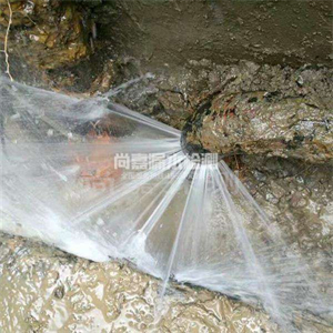 涿州自来水管道漏点检测